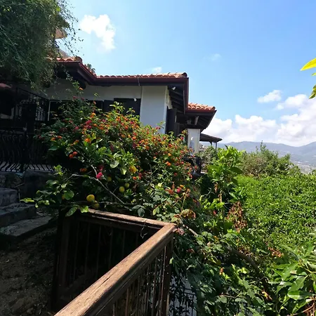 Escape To History In A Stunning Stone House With Garden And Sea View In The Heart Of アランヤ